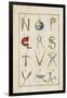 Alphabet-null-Framed Giclee Print