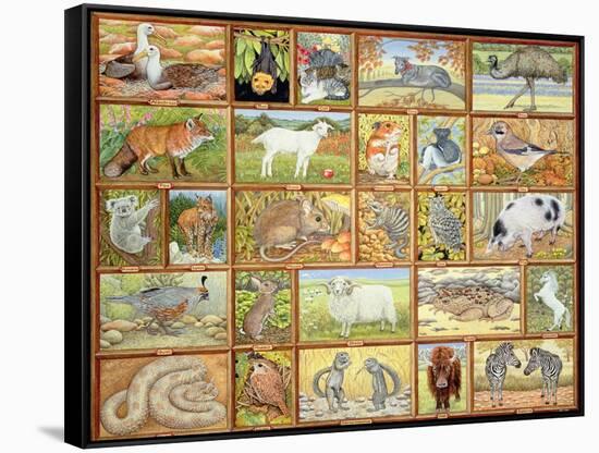 Alphabetical Animals-Ditz-Framed Stretched Canvas