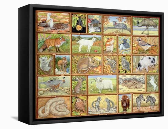 Alphabetical Animals-Ditz-Framed Stretched Canvas