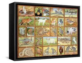 Alphabetical Animals-Ditz-Framed Stretched Canvas