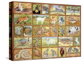 Alphabetical Animals-Ditz-Stretched Canvas