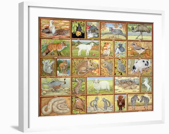 Alphabetical Animals-Ditz-Framed Giclee Print