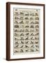 Brown Frame