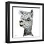 Alphie the Alpaca-Angela Bawden-Framed Art Print