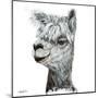 Alphie the Alpaca-Angela Bawden-Mounted Art Print