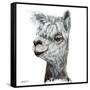 Alphie the Alpaca-Angela Bawden-Framed Stretched Canvas