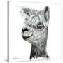 Alphie the Alpaca-Angela Bawden-Stretched Canvas