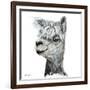 Alphie the Alpaca-Angela Bawden-Framed Art Print