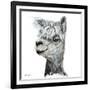 Alphie the Alpaca-Angela Bawden-Framed Art Print