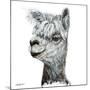 Alphie the Alpaca-Angela Bawden-Mounted Art Print