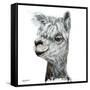 Alphie the Alpaca-Angela Bawden-Framed Stretched Canvas