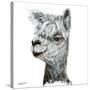 Alphie the Alpaca-Angela Bawden-Stretched Canvas