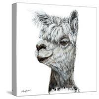 Alphie the Alpaca-Angela Bawden-Stretched Canvas