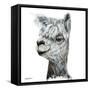 Alphie the Alpaca-Angela Bawden-Framed Stretched Canvas