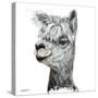 Alphie the Alpaca-Angela Bawden-Stretched Canvas