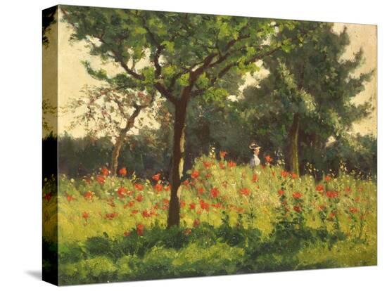 Stretched Canvas Print, , large