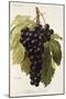 Alphonse Lavallee Grape-A. Kreyder-Mounted Giclee Print