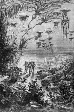 Illustration from "20,000 Leagues under the Sea"