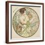 Brown Frame