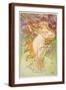 Brown Frame