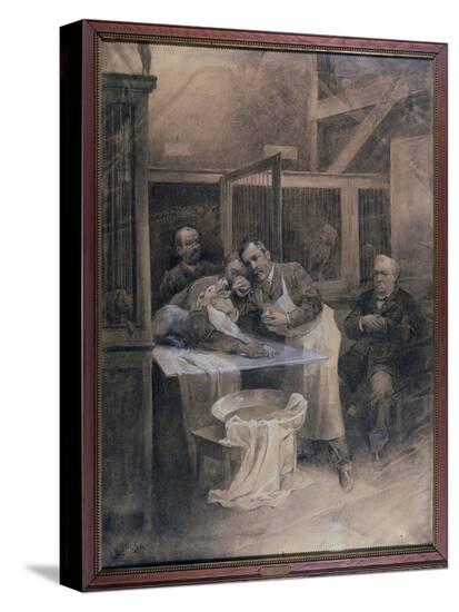 Stretched Canvas Print, , large