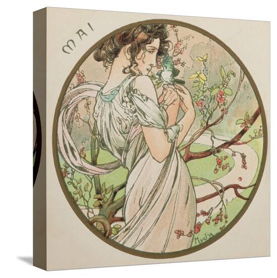 Stretched Canvas Print, , large
