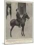 Alphonso Xiii, King of Spain, on His Favourite Pony-null-Mounted Giclee Print