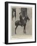 Alphonso Xiii, King of Spain, on His Favourite Pony-null-Framed Giclee Print