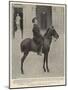 Alphonso Xiii, King of Spain, on His Favourite Pony-null-Mounted Giclee Print