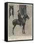 Alphonso Xiii, King of Spain, on His Favourite Pony-null-Framed Stretched Canvas