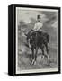 Alphonso Xiii, King of Spain, Who Is to Be Crowned at Madrid To-Day (Saturday)-William T. Maud-Framed Stretched Canvas