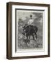 Alphonso Xiii, King of Spain, Who Is to Be Crowned at Madrid To-Day (Saturday)-William T. Maud-Framed Giclee Print