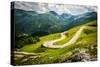 Alpina Road-DannyWilde-Stretched Canvas