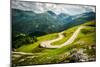 Alpina Road-DannyWilde-Mounted Photographic Print