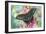 Alpine Black Swallowtail Butterfly, Papilio Maackii-Darrell Gulin-Framed Photographic Print