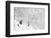 Alpine chamois, Gran Paradiso National Park, Italy-David Pattyn-Framed Photographic Print