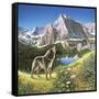 Alpine Chorus-John Van Straalen-Framed Stretched Canvas