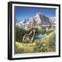 Alpine Chorus-John Van Straalen-Framed Giclee Print