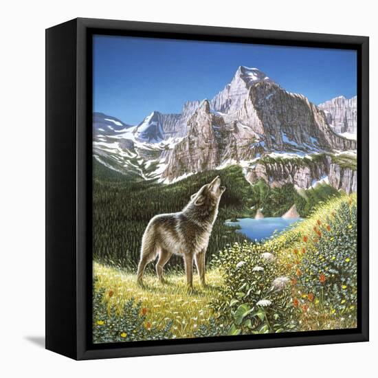 Alpine Chorus-John Van Straalen-Framed Stretched Canvas