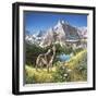 Alpine Chorus-John Van Straalen-Framed Giclee Print