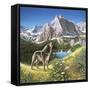 Alpine Chorus-John Van Straalen-Framed Stretched Canvas