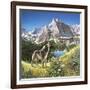 Alpine Chorus-John Van Straalen-Framed Giclee Print