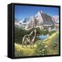 Alpine Chorus-John Van Straalen-Framed Stretched Canvas