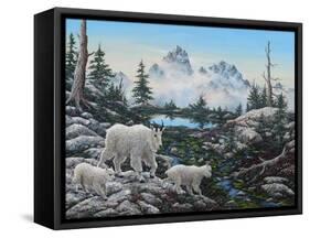 Alpine Country-Jeff Tift-Framed Stretched Canvas