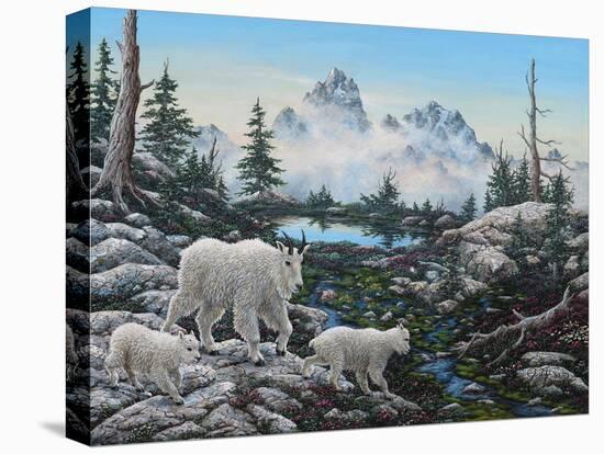 Alpine Country-Jeff Tift-Stretched Canvas