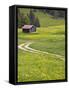 Alpine field with cabin, Bad Hindelang, Deutsche Alpenstrasse, Bayern-Bavaria, Germany-Walter Bibikow-Framed Stretched Canvas