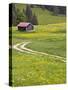 Alpine field with cabin, Bad Hindelang, Deutsche Alpenstrasse, Bayern-Bavaria, Germany-Walter Bibikow-Stretched Canvas