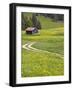 Alpine field with cabin, Bad Hindelang, Deutsche Alpenstrasse, Bayern-Bavaria, Germany-Walter Bibikow-Framed Photographic Print