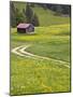 Alpine field with cabin, Bad Hindelang, Deutsche Alpenstrasse, Bayern-Bavaria, Germany-Walter Bibikow-Mounted Photographic Print