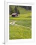 Alpine field with cabin, Bad Hindelang, Deutsche Alpenstrasse, Bayern-Bavaria, Germany-Walter Bibikow-Framed Photographic Print